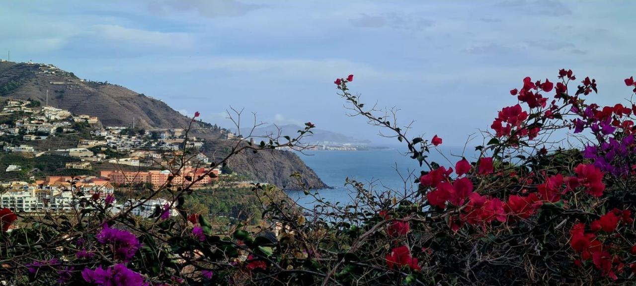 Apartamento Todimer La Belle Vie Grenada Zewnętrze zdjęcie